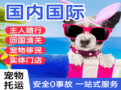 长治航空快递国际宠物托运 【国